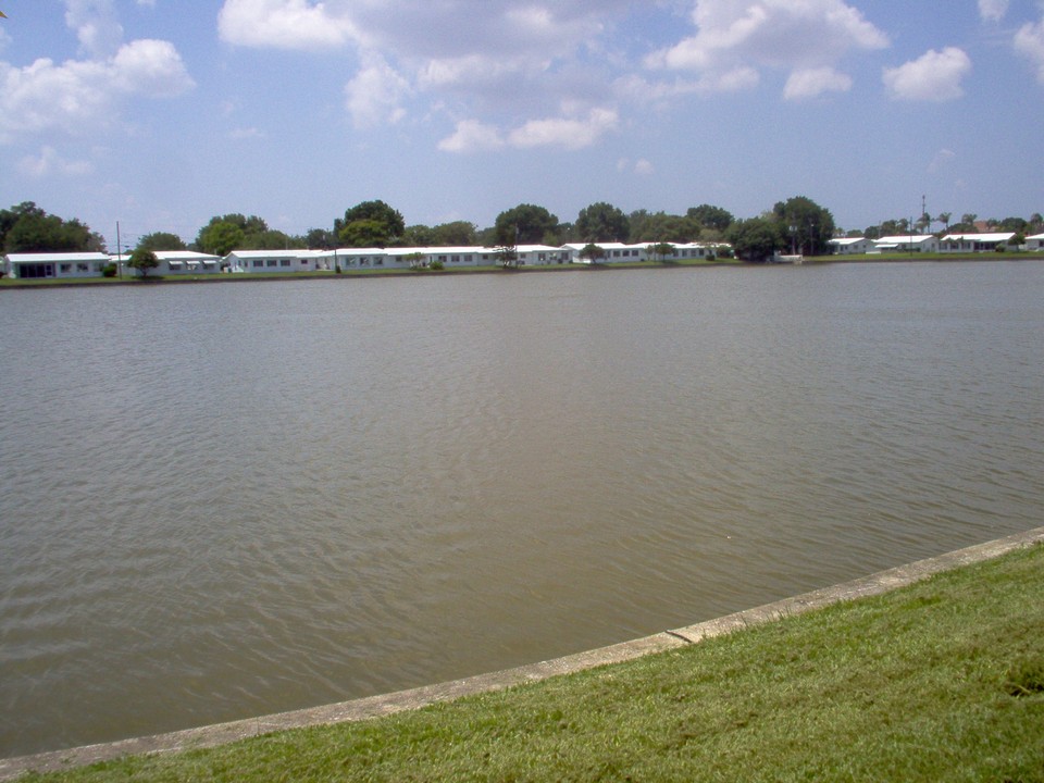 view of lake from back yard